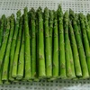/product-detail/fd-freeze-dried-asparagus-strips-62235182907.html