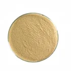 Milk Thistle seed Extract powder chinese silymarin milk thistle fruit