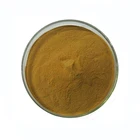 Factory Supply Pure Natural Ginkgo Biloba Extract 10:1