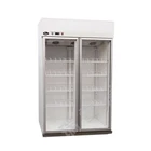Hot new products display refrigerator commercial refrigerator double door refrigerator