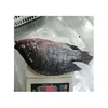 /product-detail/chinese-seafood-nice-quality-frozen-tilapia-with-low-price-62337336023.html
