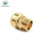 Brass Quality Fitting Brass Push Fit Fitting Brass 5 Years Lead Free Brass High Quality Push Fit Fitting