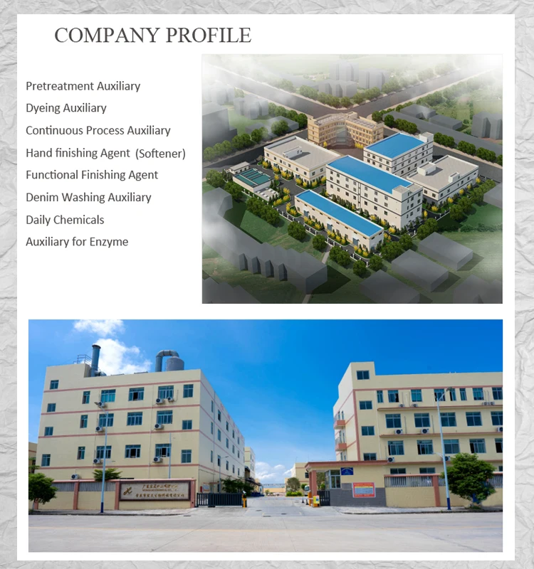 Company profile.jpg