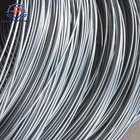 hot rolled radiator steel wire rod in coils in vagina