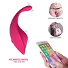 /product-detail/2019-patent-new-app-mobile-phone-remote-control-wearable-panty-sex-toys-for-female-woman-62342472385.html