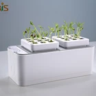 Indoor Garden Hydroponic Growing Systems With LED Plant Growing Light Hydroponic Indoor Home Gardens
