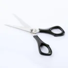 Office Scissors Hot Sale 5.5" Plastic Handle Stationery Scissors SA9650
