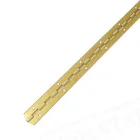 Custom Golden Plated Brass Concealed Piano Door Hinge