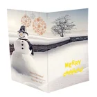 Melody greeting card / Voice recording greeting card,Pre-recorded message musical card
