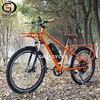 /product-detail/gaea-500w-fat-tire-electric-mountain-bicycle-kit-delivery-bike-cargo-ebike-with-rear-big-carrier-62431695106.html