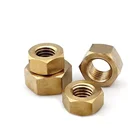DIN 934 Custom Special Copper Insert Rivet Plastic Brass Bolt Hex Nut for Steel Building