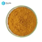 Bulk Powder Cordyceps Sinensis Extract