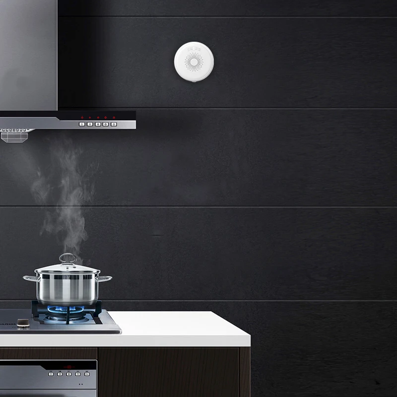 Fire Alarm Gas Detector Smoke Sensor zigbee gas sensor detector zigbee gas flow meter sensor Smart Home Security - ANKUX.COM