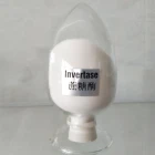 Powder Form Enzyme Food Enzyme Invertase Powder Factory Sale Can Produce Invert Syrup