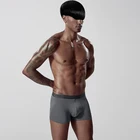 Hot Popular modal fabric Men Boxers and Underwear Briefs Gay Men Underwear Sexy Underwear Men