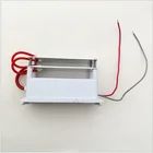 Hot Deal Portable Ozone Generator 220V/110V 10g Double Integrated Long Life Ceramic Plate Ozonizer Air Water Purifier