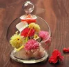 Dome with ball clear glass cloche optical flower blank paperweight