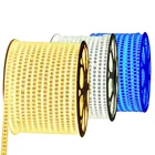 5050 Rgb Smd Led Strip Led Led Strip Rgb Wholesale 220V Input Directly 50m 5050 RGB Waterproof SMD LED Strip Light