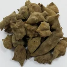 Top Quality Health Product Drum Packed Natural Gallnut Extract