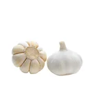 Garlic Garlic China Garlic 2020 China/Chinese Best Fresh Natural Garlic Price - New Crop Hot Sales