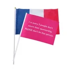 Cheap Sell Team Match Hand Flag Banner Sport Car Hand Flags