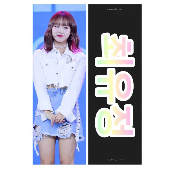 Double Side Custom Print Slogan Kpop Suede Banner Kpop Slogan