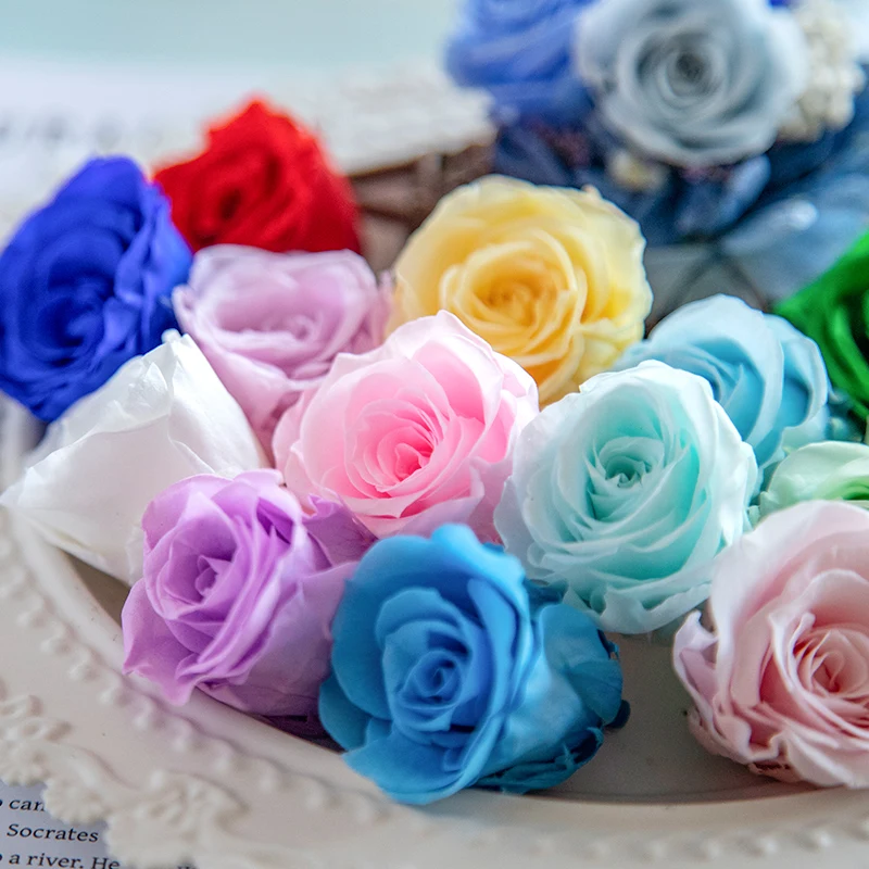 الجملة جميلة المحفوظة الزهور الحقيقية الأبدية الورود أزهار محفوظة الأبيض 2-3 سنتيمتر