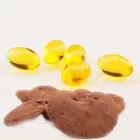 Private Label Lucidum Ganoderma Spore Oil with Wholesale Price