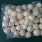 Frozen Taro Frozenfrozen Hot Sale Frozen Vegetable Frozen Taro Balls