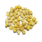 Top Quality Frozen Dried Super Sweet Corn Best price
