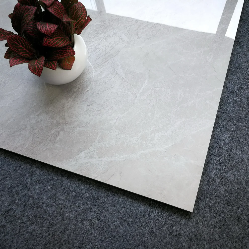 Light Grey Bathroom Living Room Tiles Porcelain Floor Porcelanato 60x60 Polished Glazed Tiles