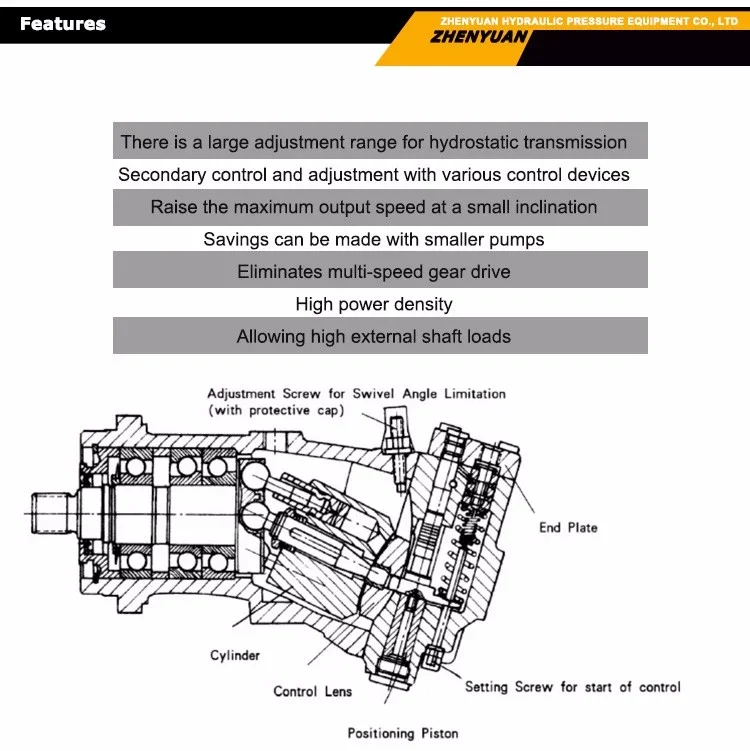 Rexroth A2FM63 series Axial piston quantitative motor High Speed Low Torque Piston Type Oil Motor A2FM63/61W-VAB010
