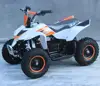 /product-detail/new-mini-electric-atv-500w-36-for-kids-62276508430.html