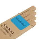 Custom Logo Travel&Home Instant 4 pack Biodegradable Charcoal Toothbrush For Whitening Teeth