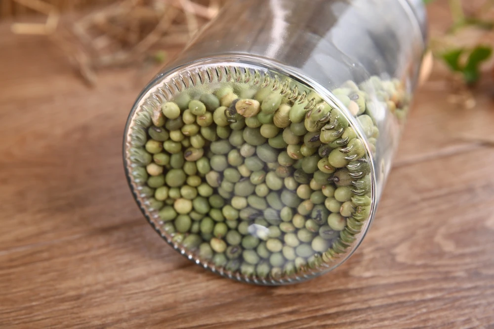 olive oil price in india