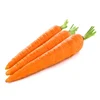 /product-detail/carrot-extract-62021148416.html