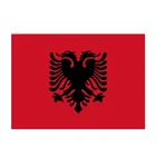 Wholesale Custom Print Polyester National Flags Of Albania Countries