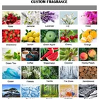 Air Freshener Cheap Promotional Custom Paper Car Air Freshener Hanging