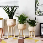 Plant Flower Pot Most Popular Slap-up Family The Garden Plant Engineering Flower Nursery Production Wooden Pot