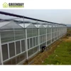 /product-detail/greenday-low-cost-agricultural-greenhouse-plastic-film-polycarbonate-for-tunnel-greenhouse-62311320508.html