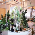 Tree Landscape Shenzhen Manufacturer Wholesale Artificial Bamboo Tree Plants In Landscape Garden