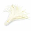 Feather Material of Carnival Garment 40cm/45cm White Rooster Feather