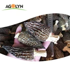 Dried Mushrooms High Nutrition Food Mushroom Black Morel