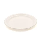 Disposable Plate Professional Manufacture Biodegradable Disposable Bagasse Tableware Large Oval Plate