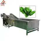 Small Medium and Large Scale Industrial Fruit and Vegetable Apple Ginger Washer and Dryer Machine