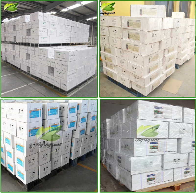 High quality insecticide Buprofezin 98% TC with factory direct price