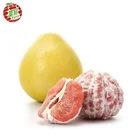 Fresh 11kg packing p5 honey pomelo fruit