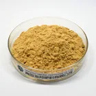 Water Soluble Chitosan Oligosaccharide Powder for Medical