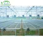 Durable seeding Polycarbonate Sheet Greenhouse With rolling benches system