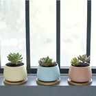 Plants Pots New Plant Pot New Products High Quality Plants Flower Pots Cute Succulent Pots Ceramic